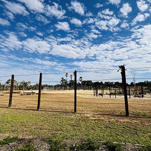 Elephant Trail (New): main elephant enclosure