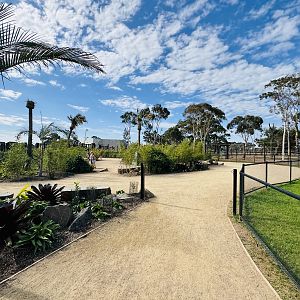 Elephant Trail (New): general pathway