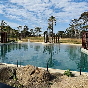 Elephant Trail (New): bull elephant enclosure