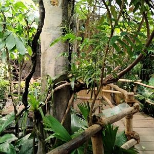 General view of Matamata pavilion