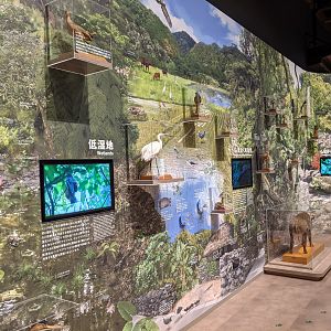 Iriomote Wildlife Conservation Center