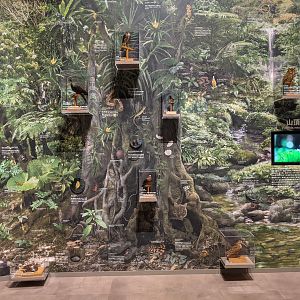 Iriomote Wildlife Conservation Center