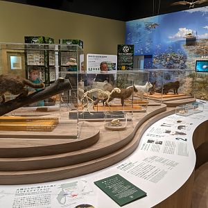 Iriomote Wildlife Conservation Center