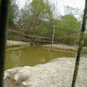 Aviary  - Parc animalier d'Ecouves