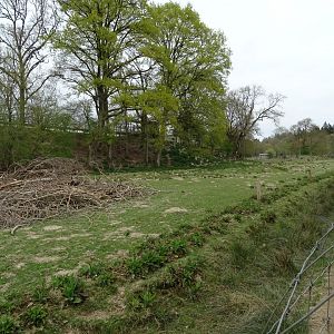 Chamois, European mouflon, Fallow deer exhibit - Parc animalier d'Ecouves