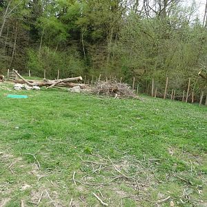 Rove goats exhibit - Parc animalier d'Ecouves