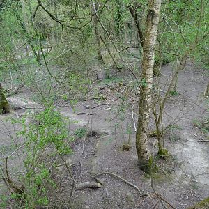 Czechoslovakian Wolfdog exhibit - Parc animalier d'Ecouves