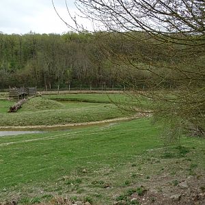 Sika deer exhibit - Parc animalier d'Ecouves
