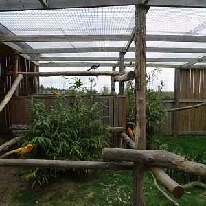 Aviary - Parc animalier d'Ecouves
