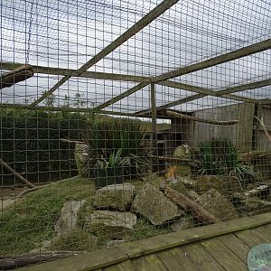 Aviary - Parc animalier d'Ecouves