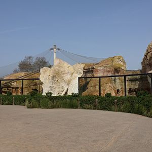Barbary Macaque Enclosure