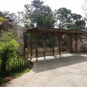 Hyena Enclosure