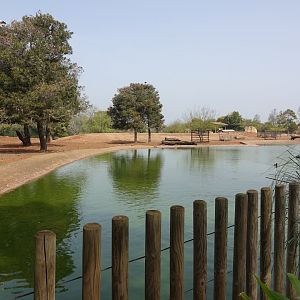 Mixed African Hoofstock Enclosure