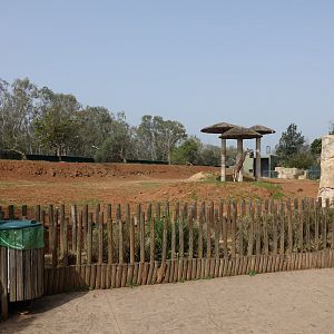 Giraffe Enclosure