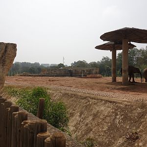 Elephant Enclosure