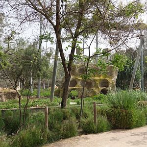 North African Birds Aviary