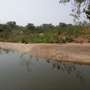 Red Lechwe Enclosure