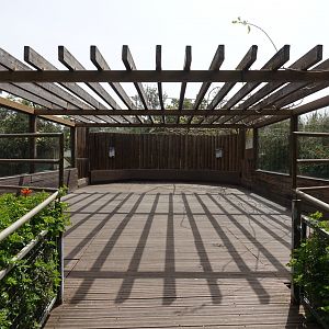 Common Hippopotamus and Nile Crocodile Viewing Area