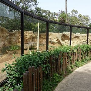 Caracal Enclosure
