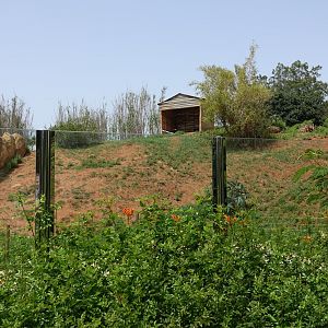 Chimpanzee Enclosure