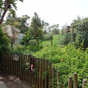 Chimpanzee Enclosure