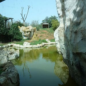 Chimpanzee Enclosure