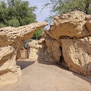 Arabian Tahr complex