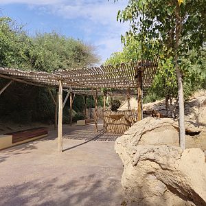 Nubian Ibex exhibit