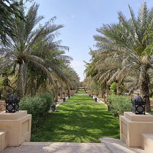 Oasis Garden