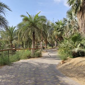 Al Ain Zoo