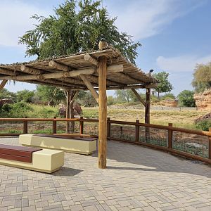 Spotted Hyena exhibit