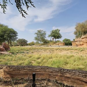 Spotted Hyena exhibit