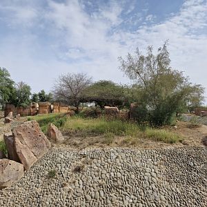 Renovated Carnivore area