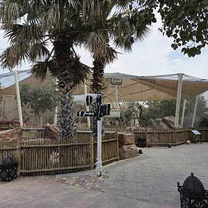 Spotted-necked Otter , Grivet monkey new exhibit