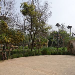North African Aviary