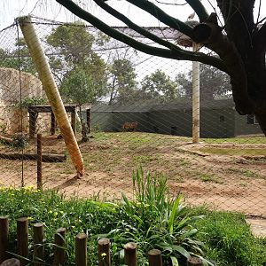 Tiger Enclosure