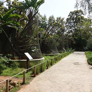 Aviaries