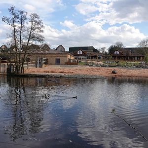 Hippopotamus enclosure