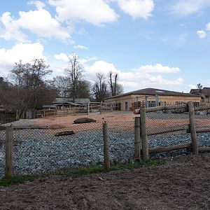 Hippopotamus enclosure