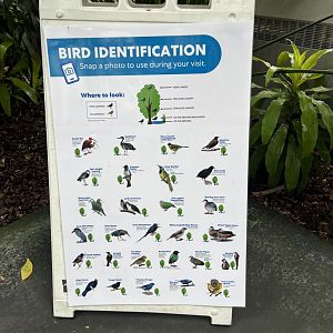 Aviary Signage