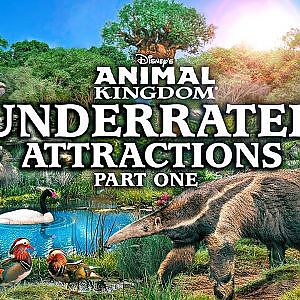 The Oasis | Zoo Tours