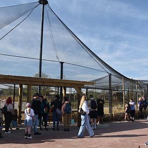 Wetland Aviary, Heart of Africa at Chester, 12th April 2025