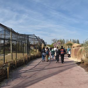 General View Heart of Africa at Chester, 12th April 2025