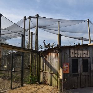 Tsavo Aviary Entrance, Heart of Africa at Chester, 12th April 2025