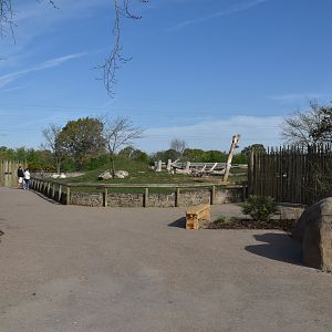 Rhino Paddocks View, Heart of Africa at Chester, 12th April 2025
