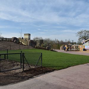 Space Yet to be Filled, Heart of Africa at Chester, 12th April 2025