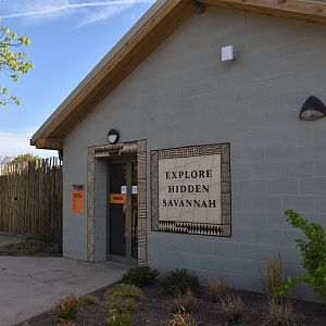 Hidden Savannah, Heart of Africa at Chester, 12th April 2025