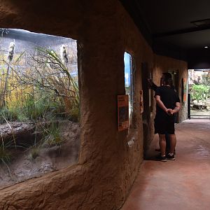 Hidden Savannah, Heart of Africa at Chester, 12th April 2025