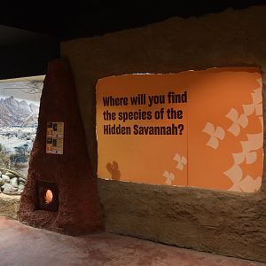 Hidden Savannah, Heart of Africa at Chester, 12th April 2025