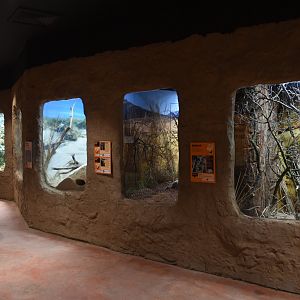 Hidden Savannah, Heart of Africa at Chester, 12th April 2025